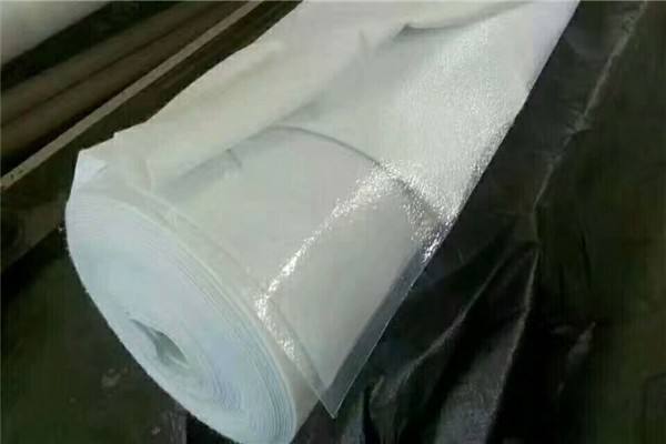 復(fù)合土工膜兩布一膜特點(diǎn)工程項目超過預(yù)期目標(biāo)
