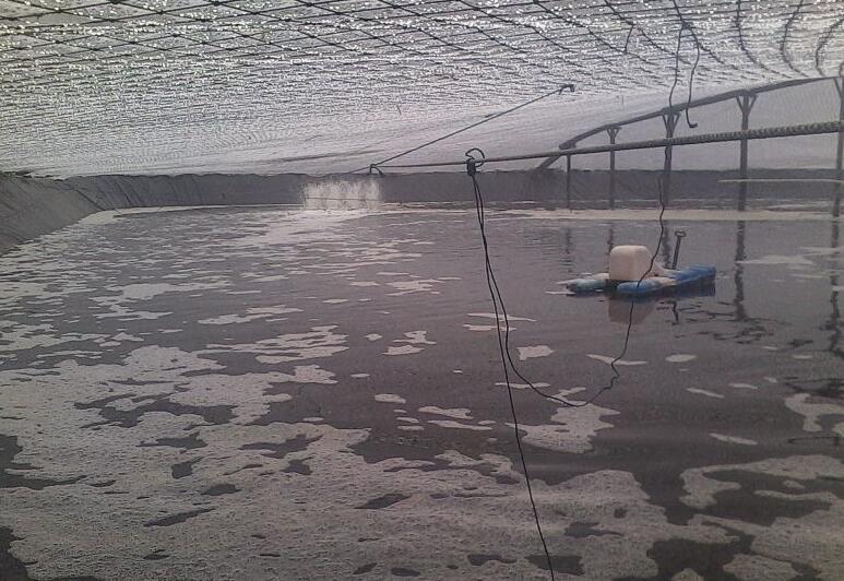 魚塘修建土工膜和混凝土哪種方法更可靠？